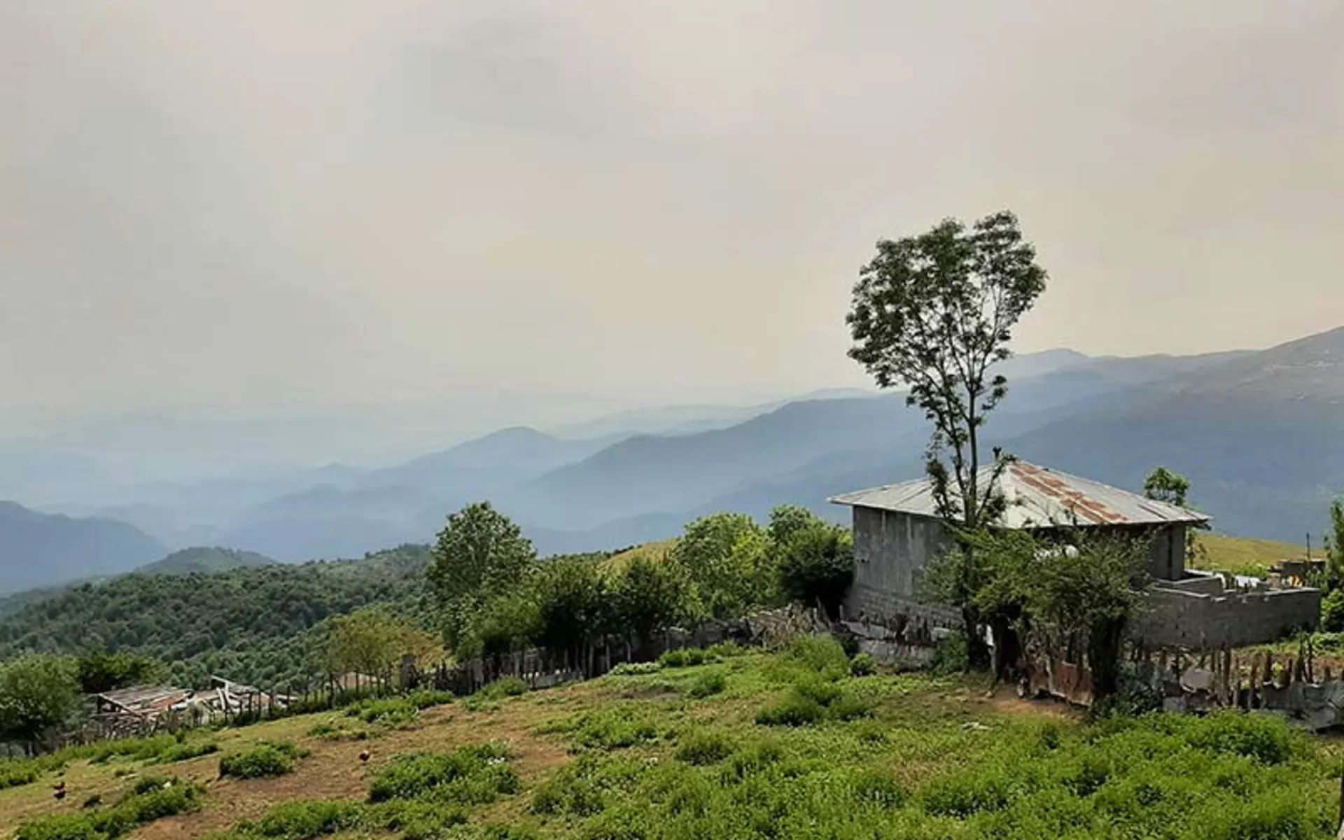 تصویر تابستان در فیلبند