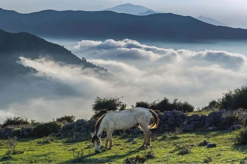 عکس از طبیعت فیلبند